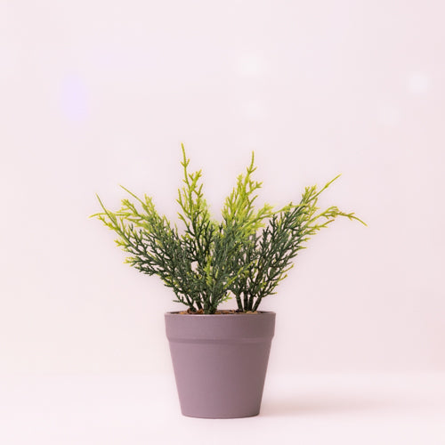 Green Small Faux Fern In A Pot