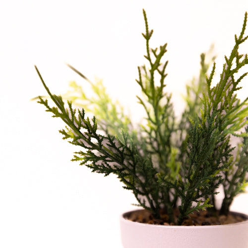 Green Small Faux Fern In A Pot