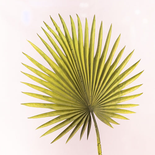 Set Of 2 Artificial Palm Leaves