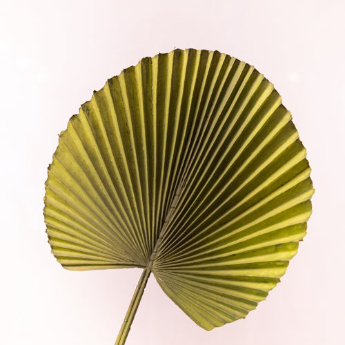 Set Of 2 Faux Palm Leaves