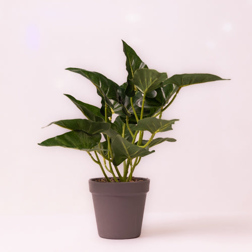 Green Faux Colocasia Plant Small