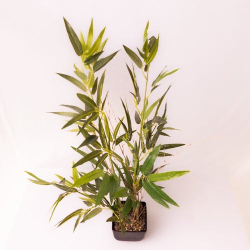 Green Faux Bamboo Plant