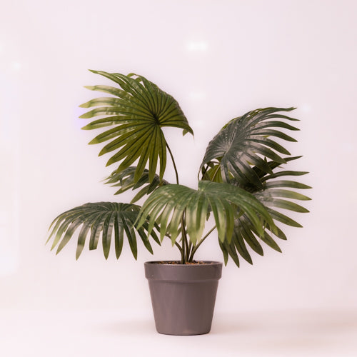 Green Faux Palm Plant Small