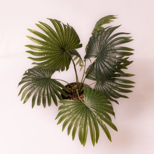 Green Faux Palm Plant Small