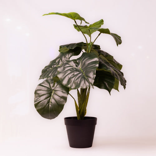 Green Faux Colocasia Plant Large