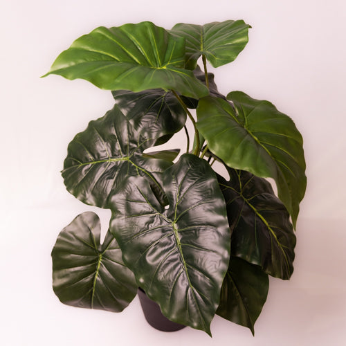 Green Faux Colocasia Plant