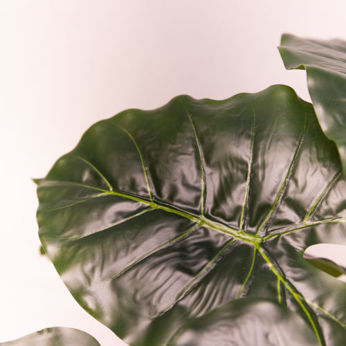 Green Faux Colocasia Plant