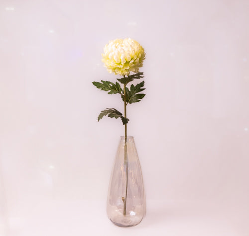 Clear Narrow Neck Tall Glass Vase