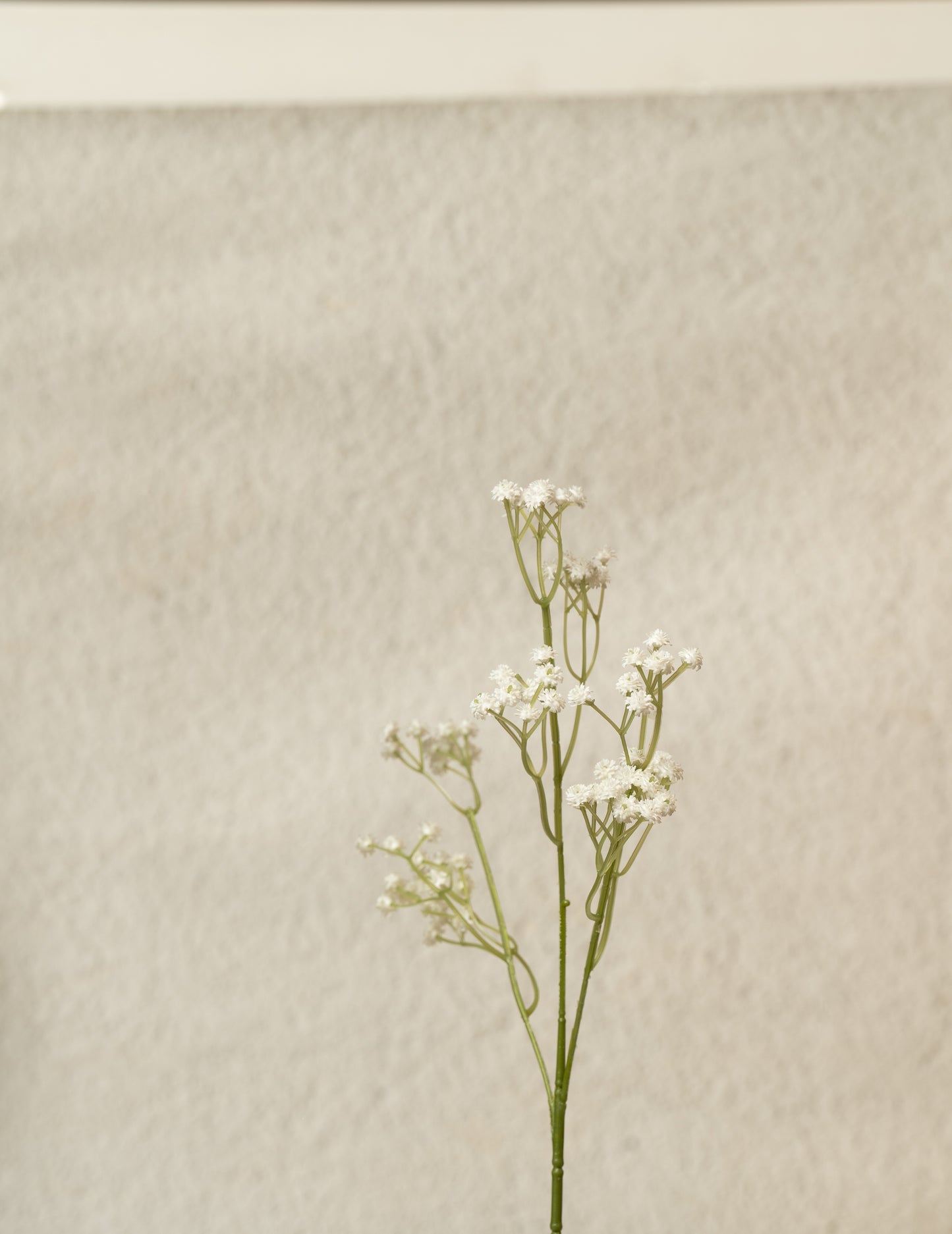 White Baby's Breath Stem