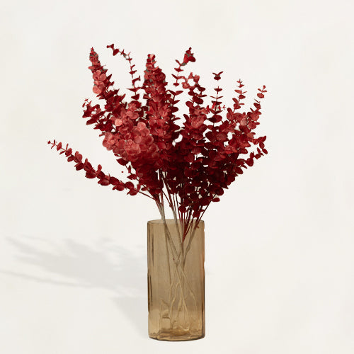 Red Eucalyptus Stem