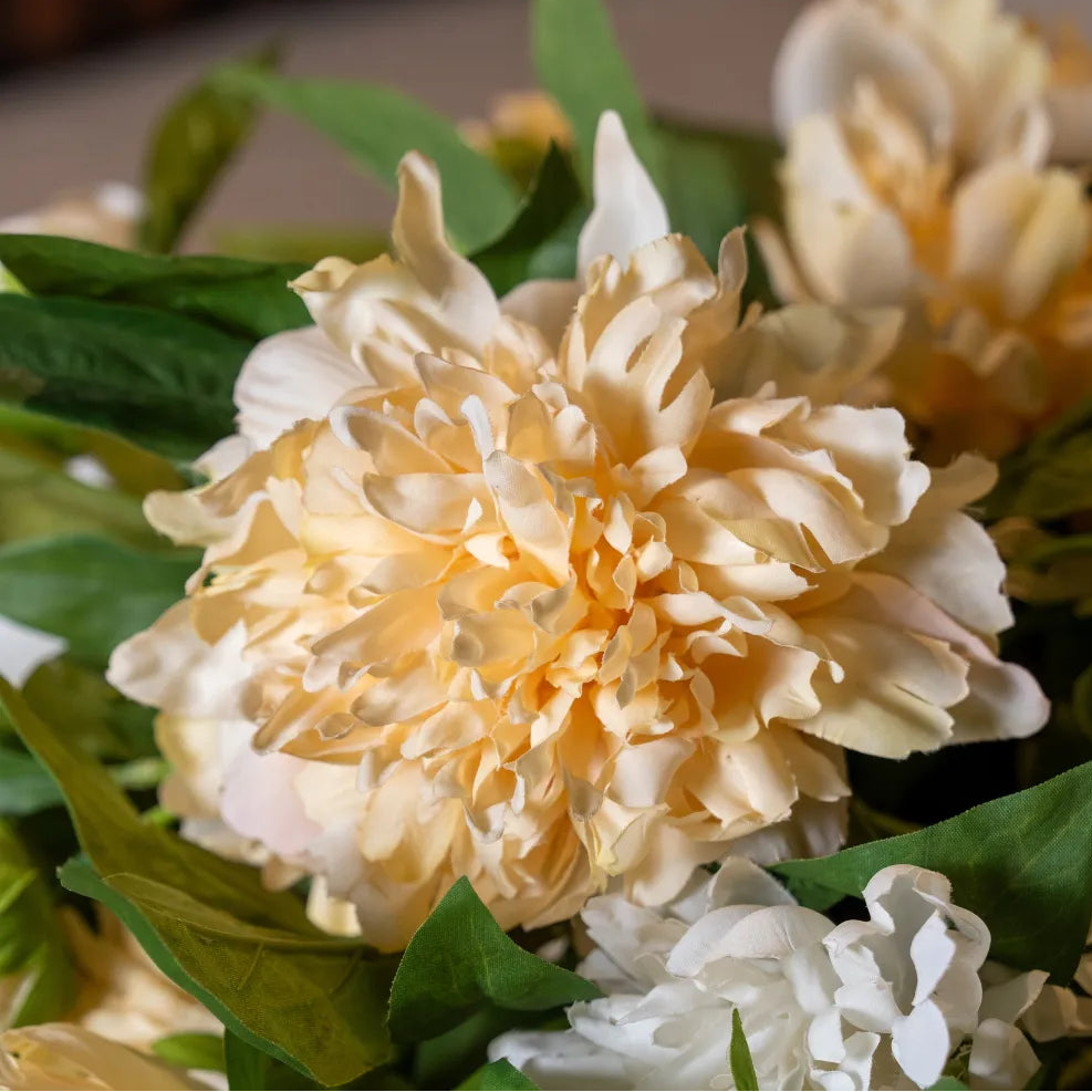 Short Peony Flower Bunch Close Up