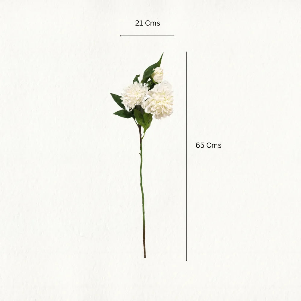 Short Peony Flower Bunch Dimensions