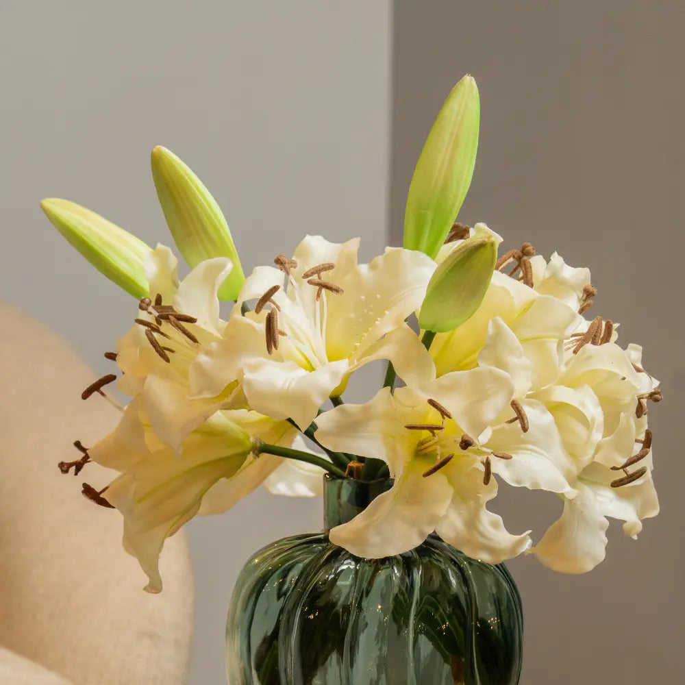 Short White Lily Flower Stem Close up