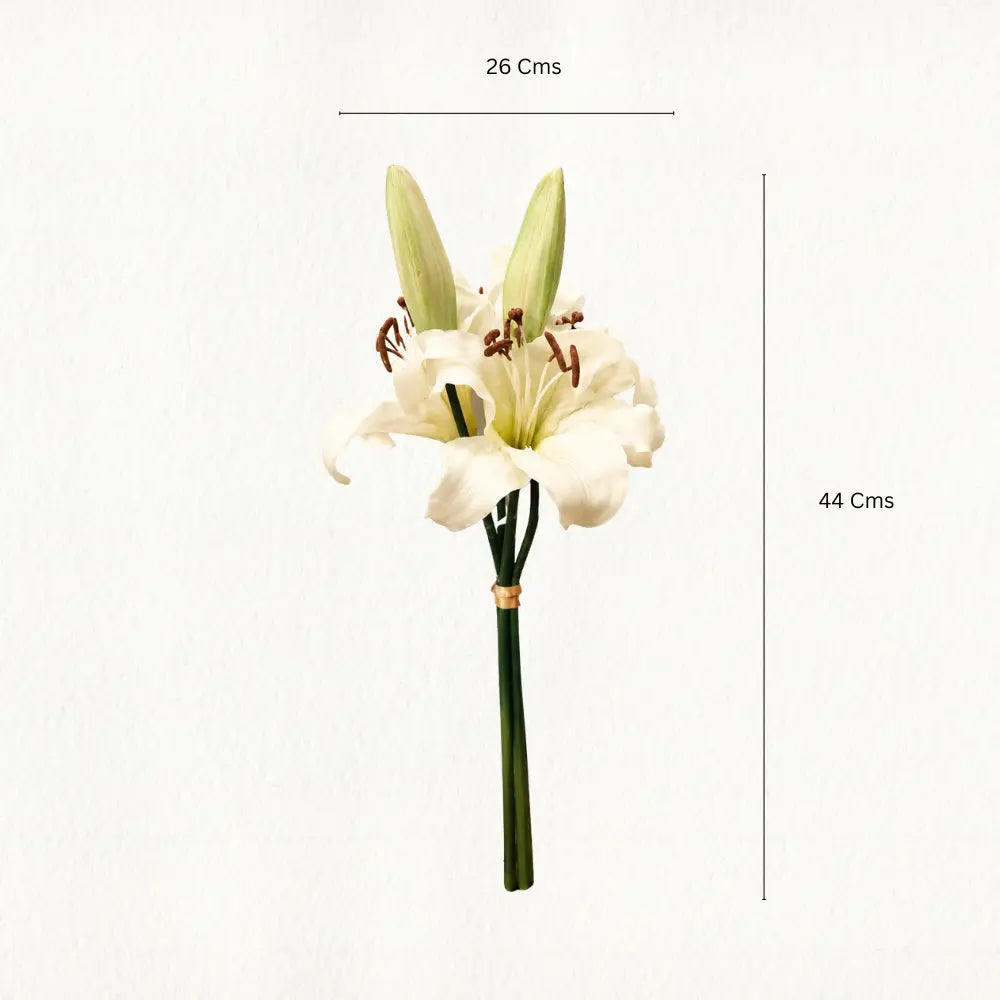 Short White Lily Flower Stem Dimensions