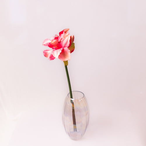 Faux Hippeastrum Flowers (Set of 2)