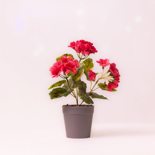 Artificial Begonia Flowers In Potted Plant